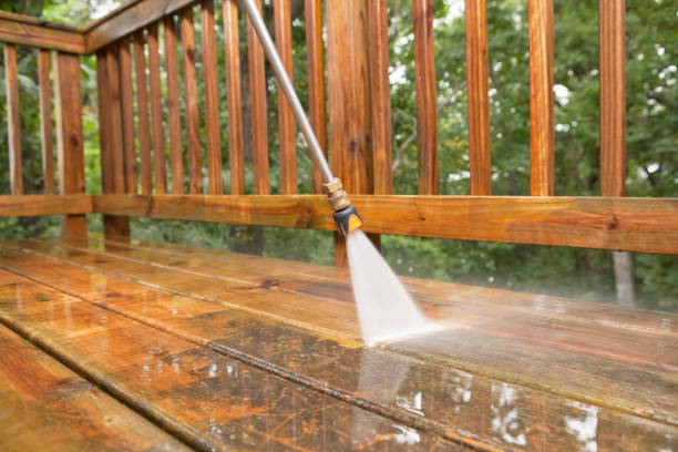 Best Dumpster Area Cleaning  in Coronita, CA